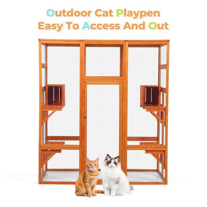 Cabane Cat Cage